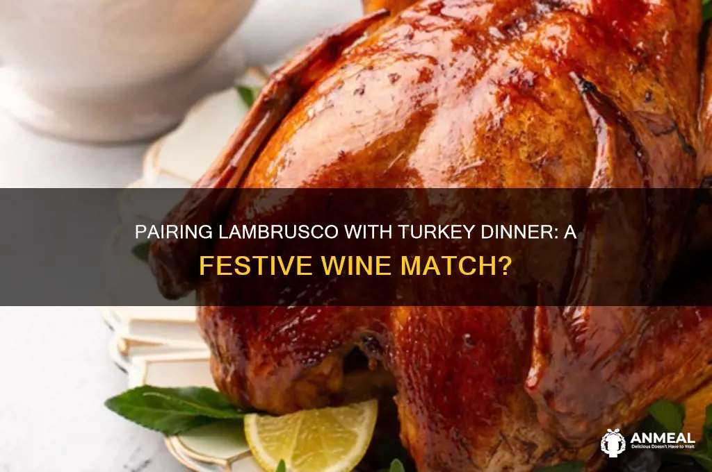 will lambrusco go with turkey dinner