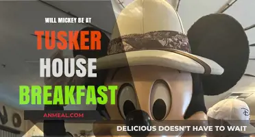 Mickey at Tusker House Breakfast: What to Expect