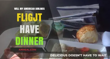 American Airlines In-Flight Dining: Will Dinner Be Served on Your Flight?