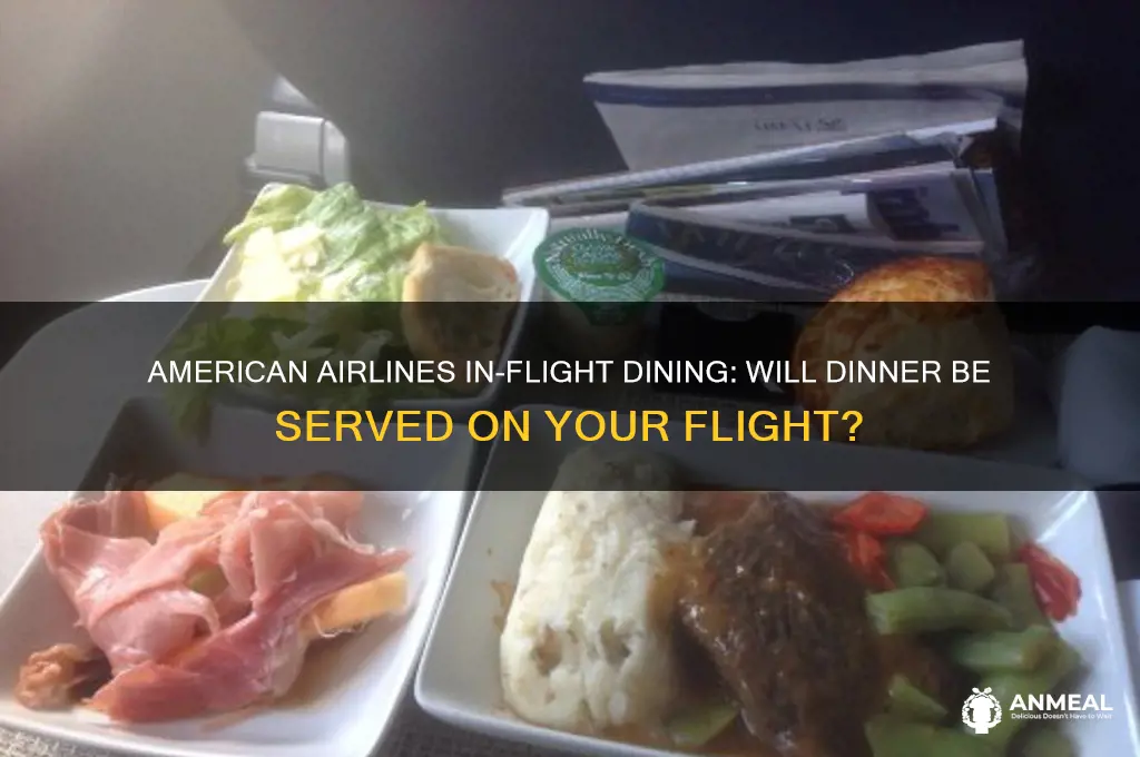 will my american airlines fligjt have dinner