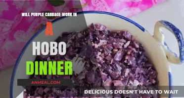 Purple Cabbage in Hobo Dinners: A Flavorful Camping Twist?