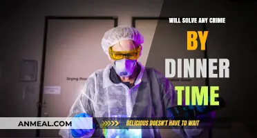 Cracking Cases Fast: Solving Any Crime Before Dinner Time