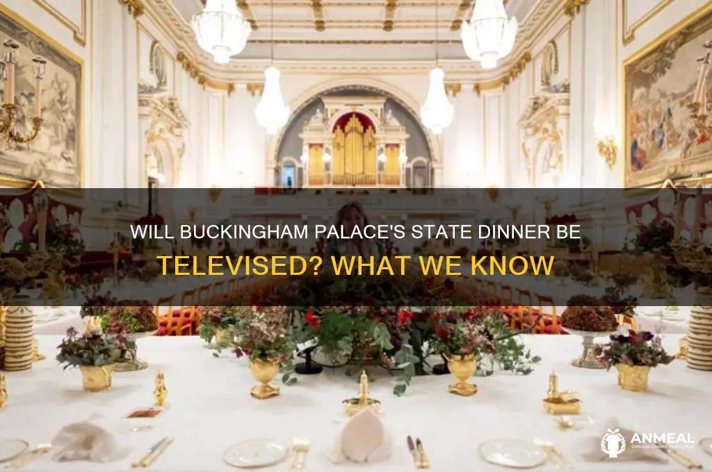 will state dinner at buckingham palace be televised