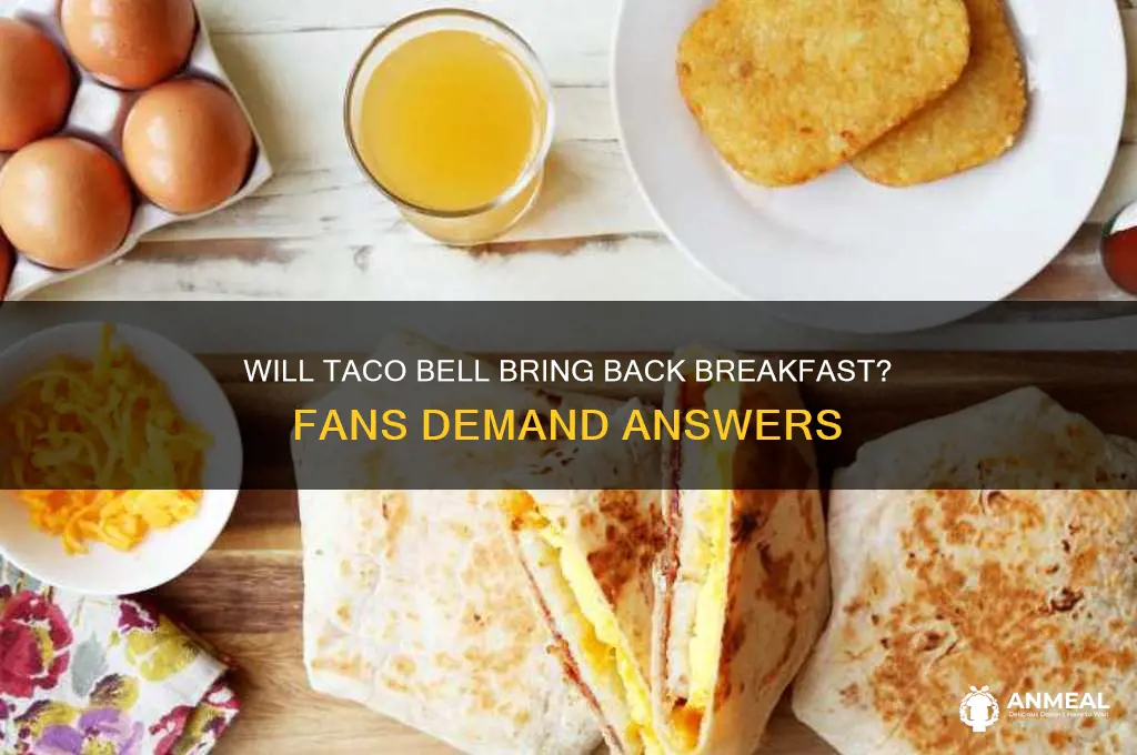 will taco bell breakfast return