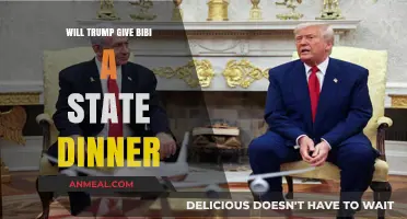 Trump and Bibi: State Dinner on the Horizon?