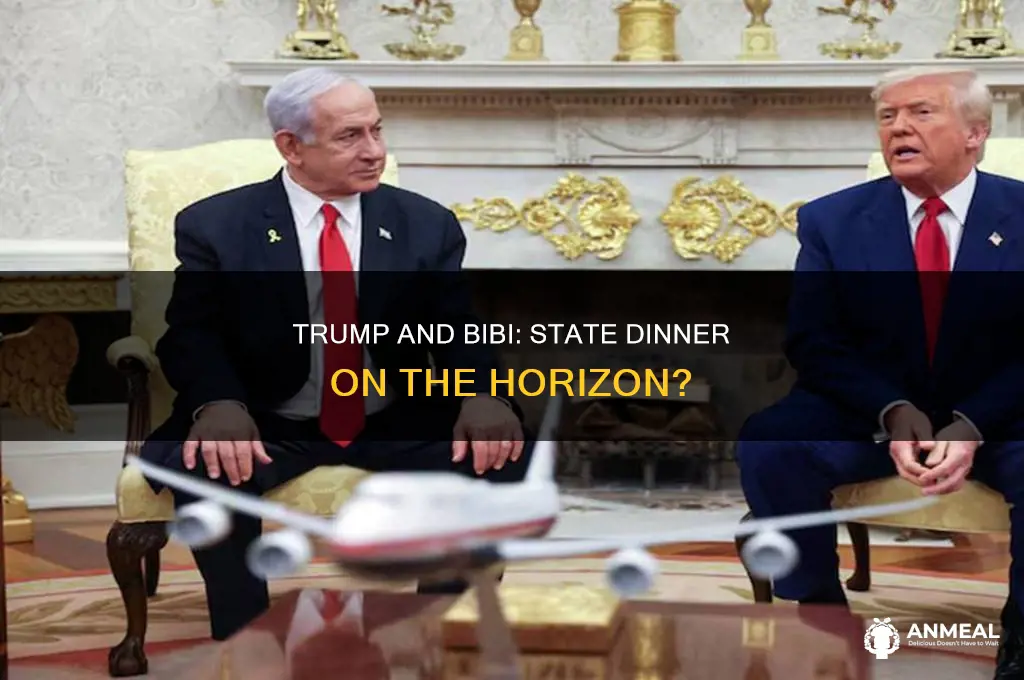 will trump give bibi a state dinner