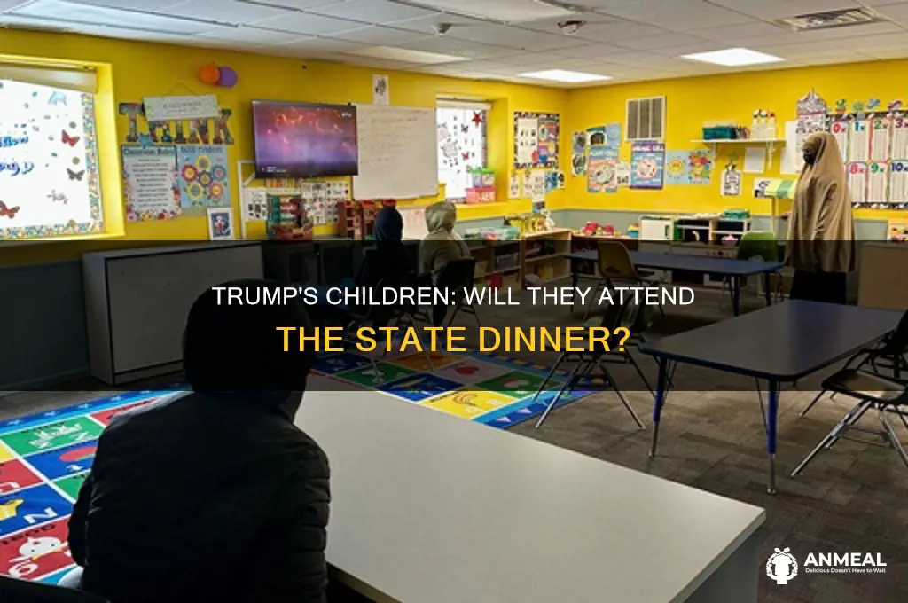 will trump