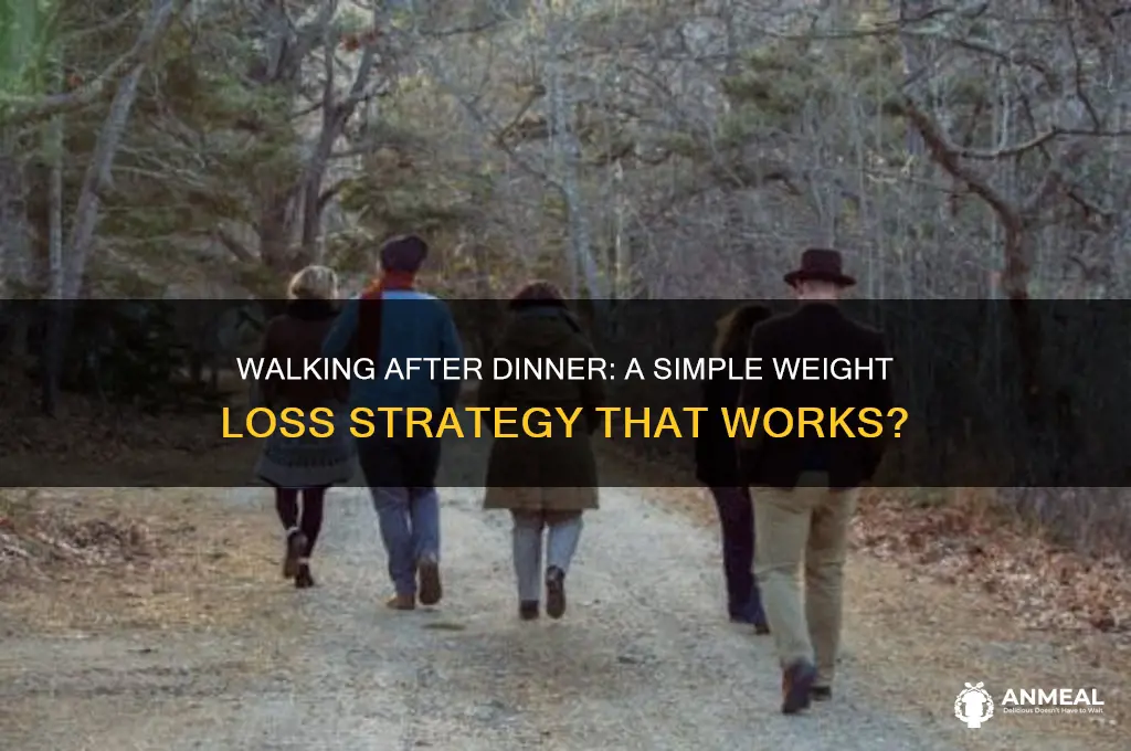 will walking after dinner help lose weight