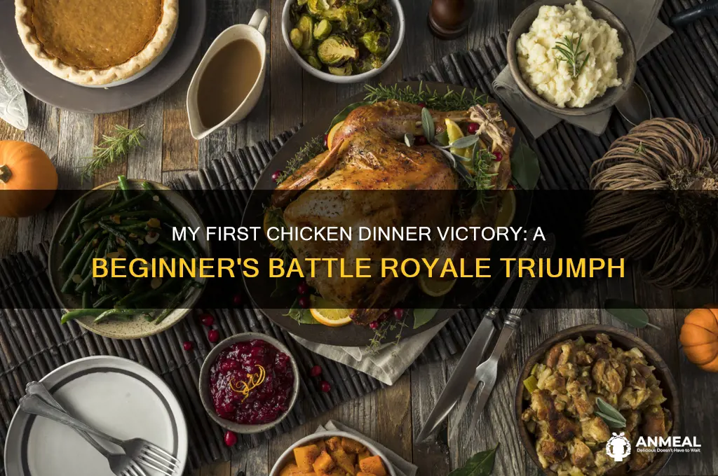 won my first chicken dinner