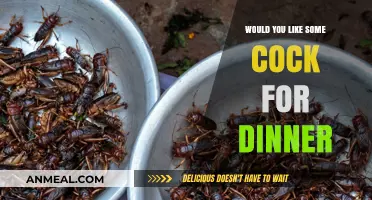 Exploring Exotic Cuisine: Cockroach Delicacies for the Adventurous Foodie