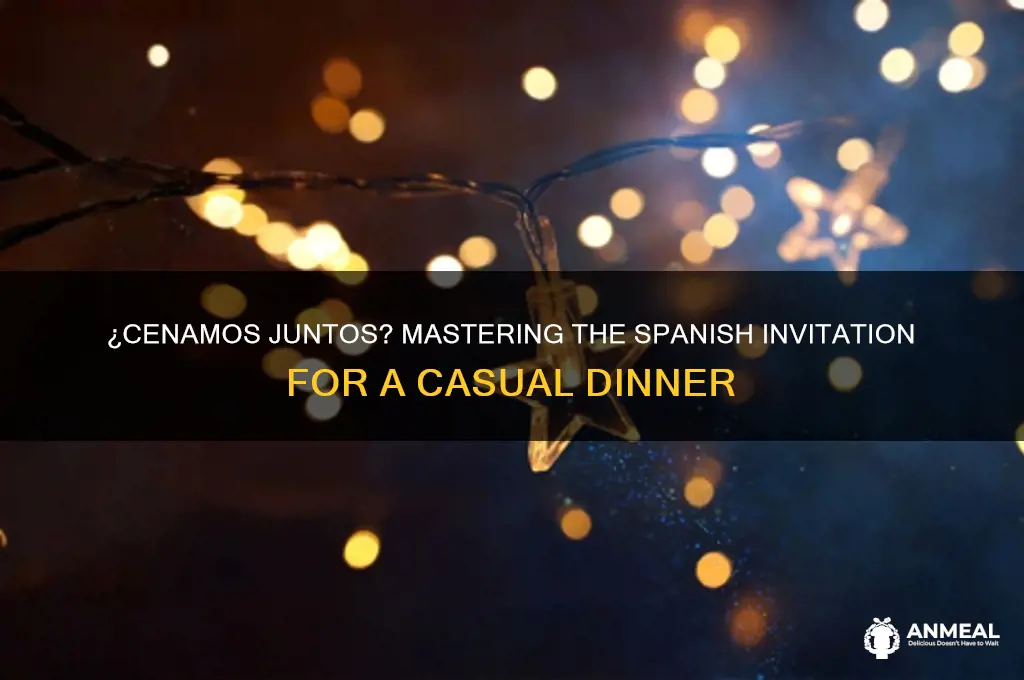 would you like to get dinner sometime spanish