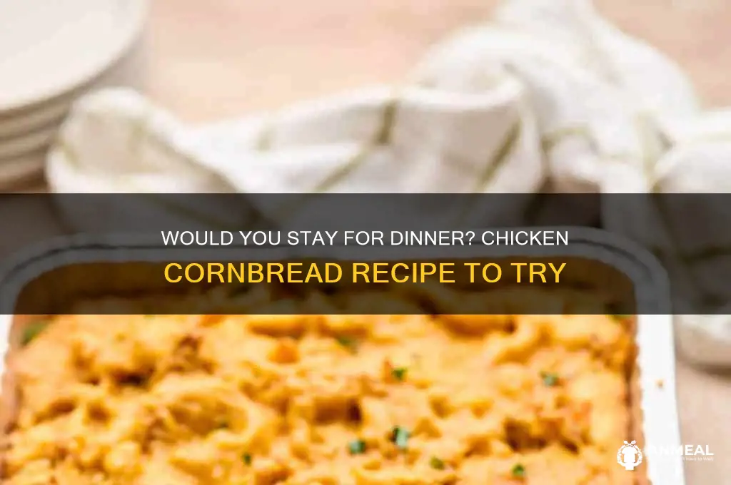 would you stay dinner chicken cornbread