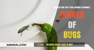 Crunchy Delights: Exploring a Six-Course Gourmet Bug Dinner Adventure