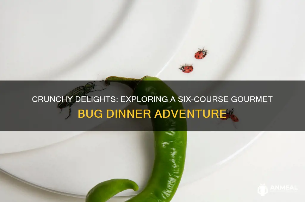 would you try a six-course gourmet dinner of bugs